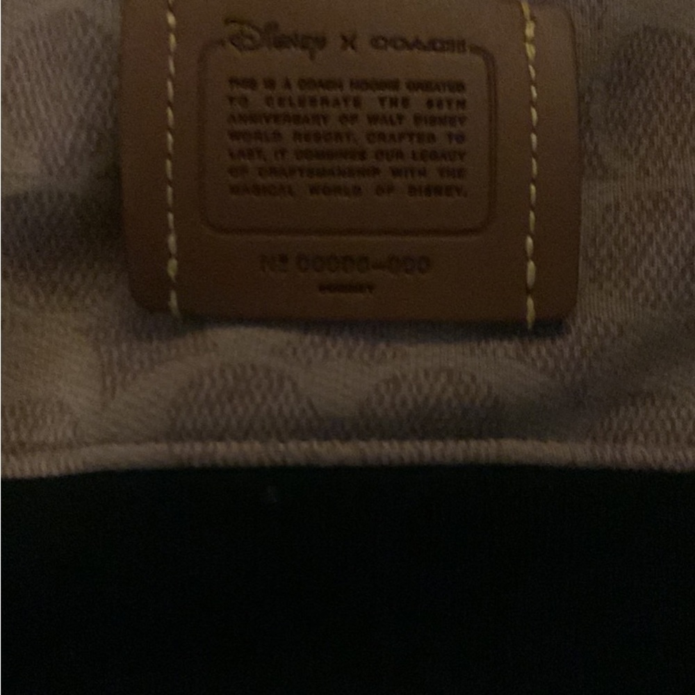 Rare Disney X coach hoodie
